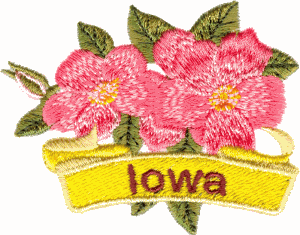 Iowa State Flower (Wild Rose)