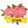 Iowa State Flower (Wild Rose)