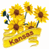 Kansas State Flower 
