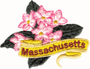 Massachusetts State Flower (Mayflower)