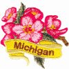 Michigan State Flower (Apple Blossom)