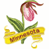 Minnesota State Flower (Lady's Slipper)