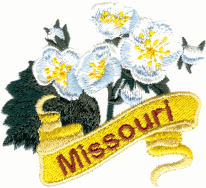 Missouri State Flower (Hawthorn)
