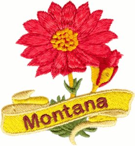 Montana State Flower (Bitterroot)