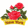 New York State Flower (Rose)