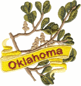 Oklahoma State Flower (Mistletoe)