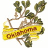 Oklahoma State Flower (Mistletoe)