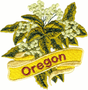 Oregon State Flower (Oregon Grape)