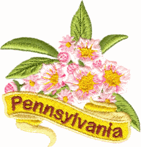 Pennsylvania State Flower (Mtn. Laurel)