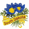 South Dakota State Flower (Pasque Flower)