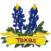 Texas State Flower (Bluebonnets)