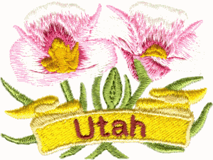 Utah State Flower (Sego Lily)