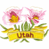 Utah State Flower (Sego Lily)