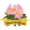 Washington State Flower (Rhododendron)