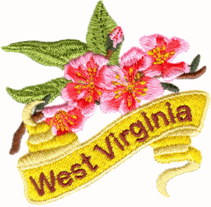 West Virginia State Flower  (Rhododendron)