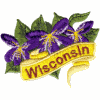 Wisconsin State Flower (Wood Violet)
