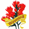 Wyoming State Flower (Indian Paintbrush)