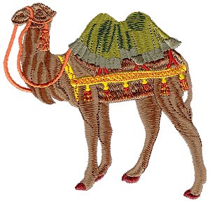 Camel Standing