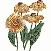 Stylized Sun Flowers