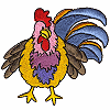 Multicolored Rooster