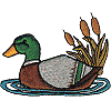 Swimming Duck with Cattails