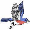 Bluebird Flying