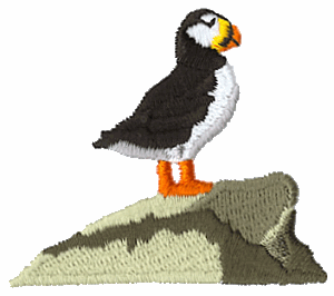 Puffin on Rock