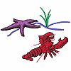 Starfish & Lobster