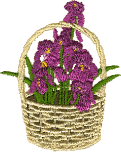 Iris Basket