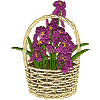 Iris Basket