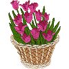 Tulip Basket