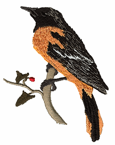 Baltimore Oriole, State Bird