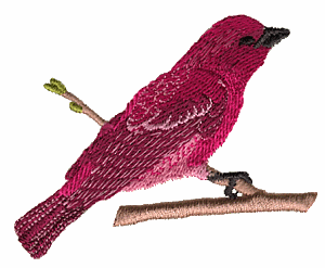 Purple Finch, State Bird