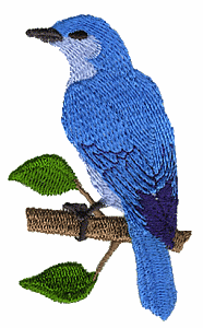 Mountain Bluebird, State Bird