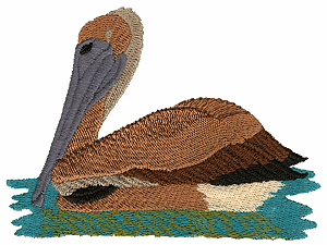 Eastern Brown Pelican, State Bird