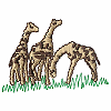 Three Giraffes