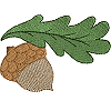 Acorn and Leaf
