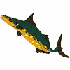 Fish 3