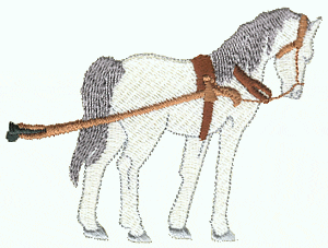Horse (For Carriage)