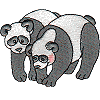 Panda Bear Pair
