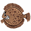 Fringe Flounder