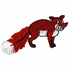 Fringe Red Fox