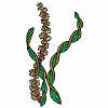 Seaweed (Triple)