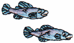 2 Fish