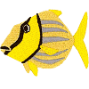 Fish 3