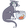 Cat and Fish Bowl