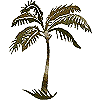 Lone Palm