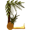 Palm and Pineapple