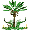 Center Palm