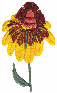 Fringed Flower 2